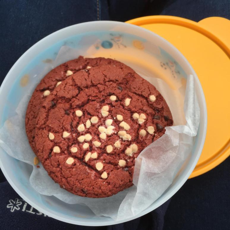 12888682_1717978698421289_2601802531080538938_o