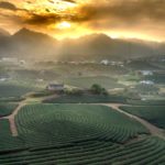 [Partenariat] NousRire : contribuer à la transition vers des écosystèmes en santé et durables